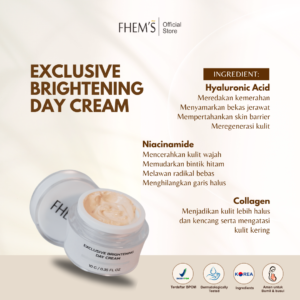 Exclusive Brightening Day Cream